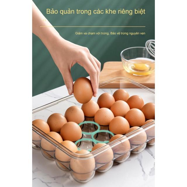 Hộp bảo quản trứng 24 ngăn Fresh&Dial nắp kín