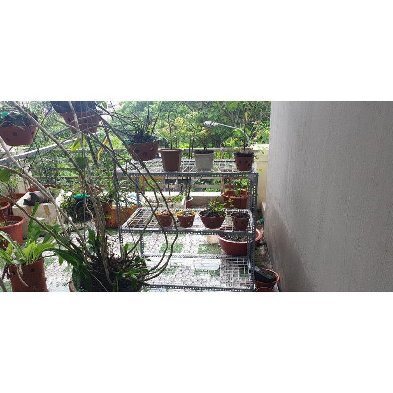 Kệ sắt v lỗ đa năng.kệ sắt lưới ô vuông.kệ để cây bonsai,sen đá,xương rồng.