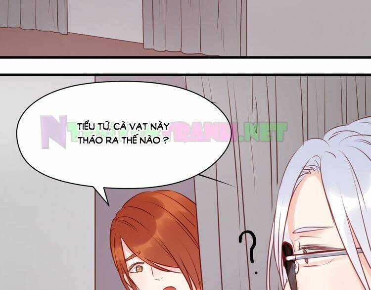 lượm được 1 tiểu hồ ly chapter 50 33