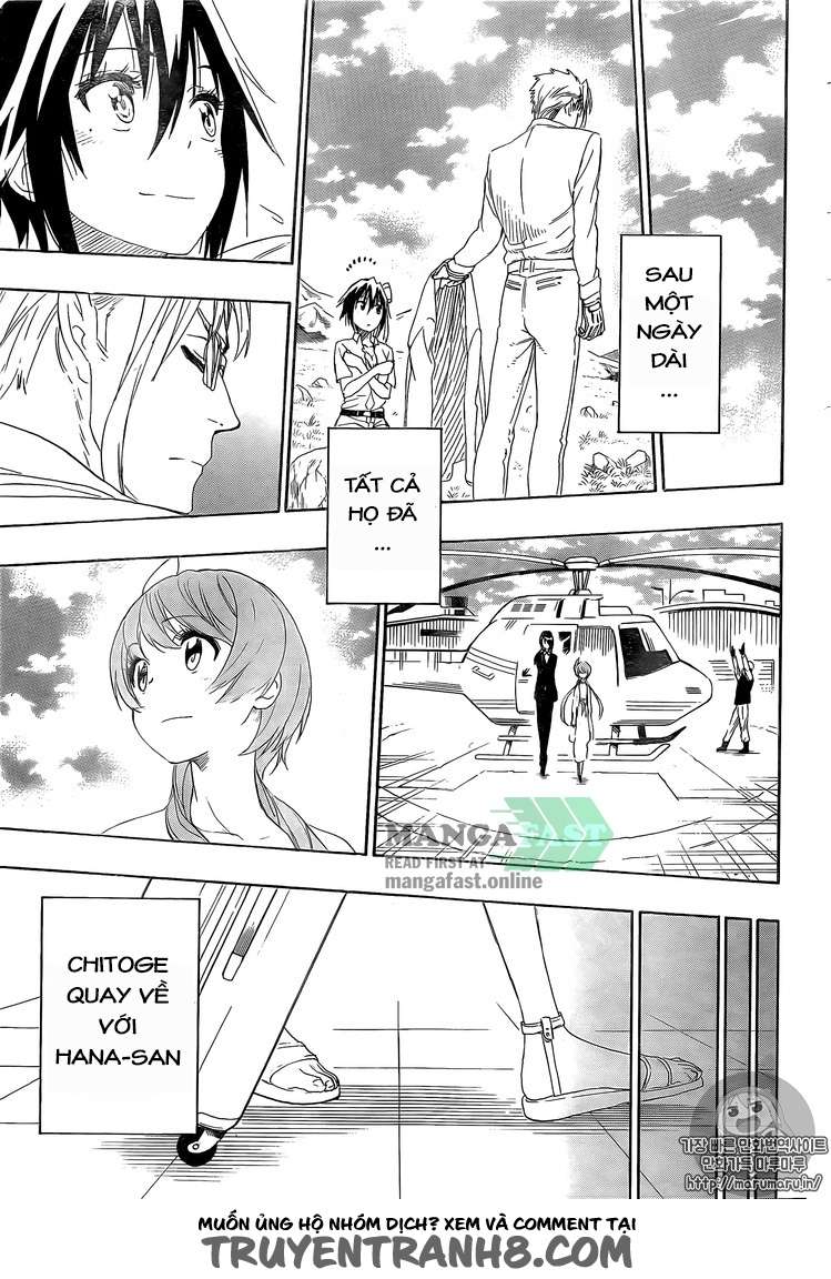 Nisekoi Chapter 228 - Trang 8