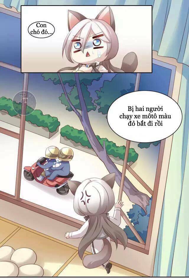 dưới móng vuốt mèo chapter 15 8