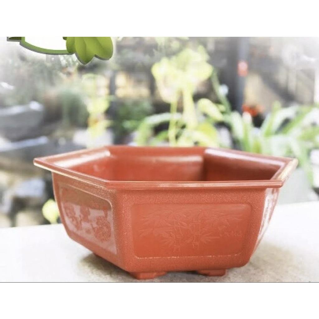 BỘ 10 CHẬU LỤC GIÁC ĐỎ , TRỒNG CÂY CẢNH , CÂY BON SAI , CHẤT LIỆU NHỰA SIÊU BỀN