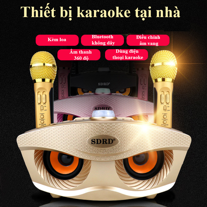 Loa bluetooth karaoke SD306 Loa thông minh không dây 2 micro cùng nhau hát bluetooth 4.1