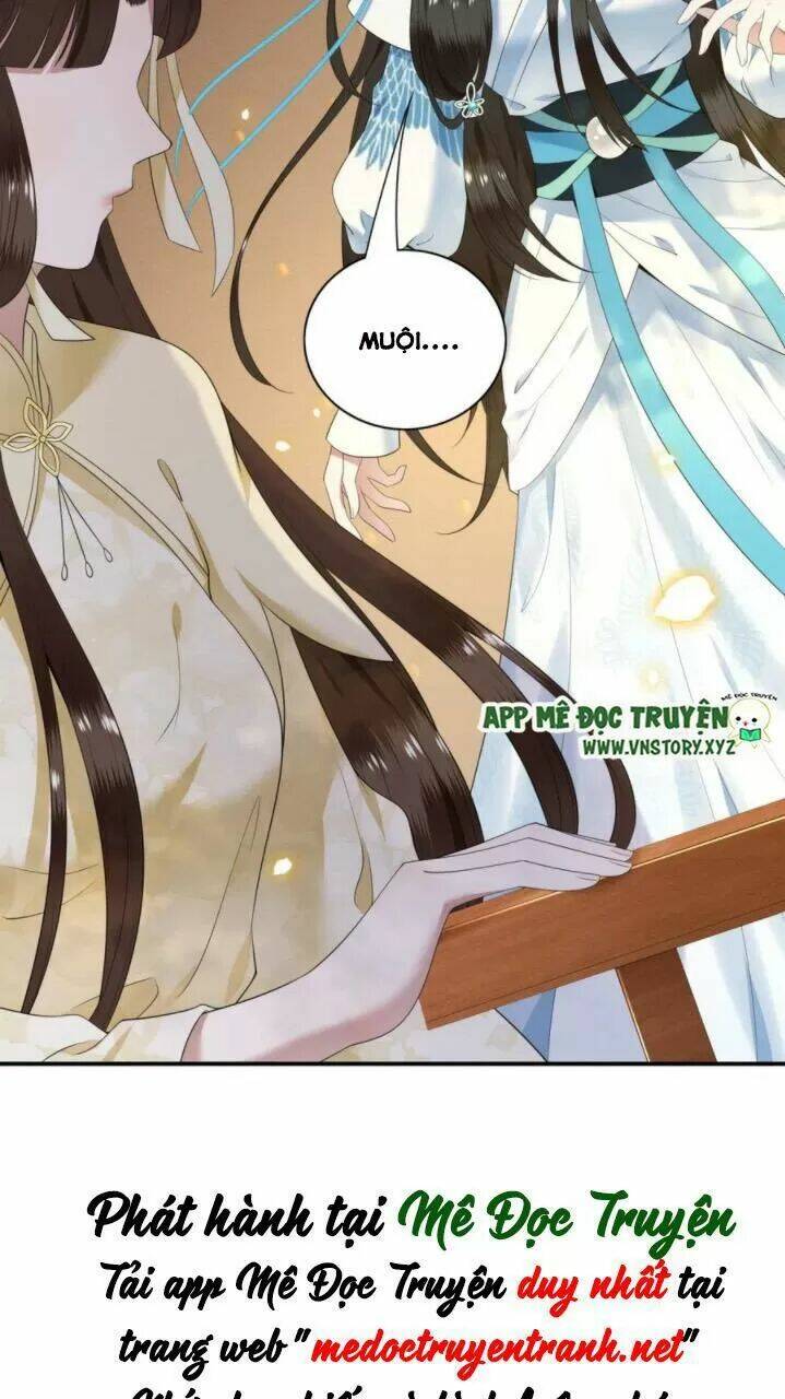 phượng hoàng vu phi chapter 81 32