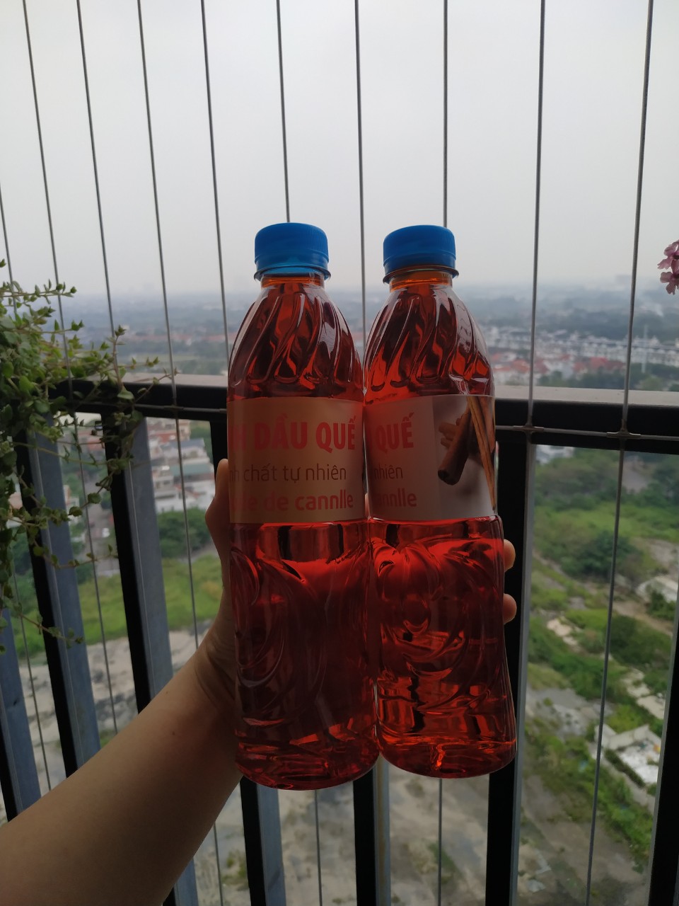 Tinh dầu quế lau nhà, chai 500ml