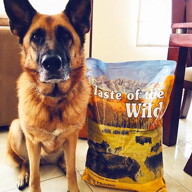 Thức Ăn Cho Chó Bully Taste Of The Wild Bao 2kg - Thức Ăn Cho Chó, Vị Bò Rừng &amp; Nai Nướng, Trái Cây Rau Củ, High Praire