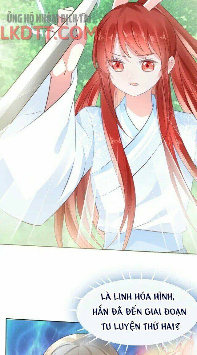 hắc hóa nam chính trực tuyến nuôi thỏ chapter 24 17