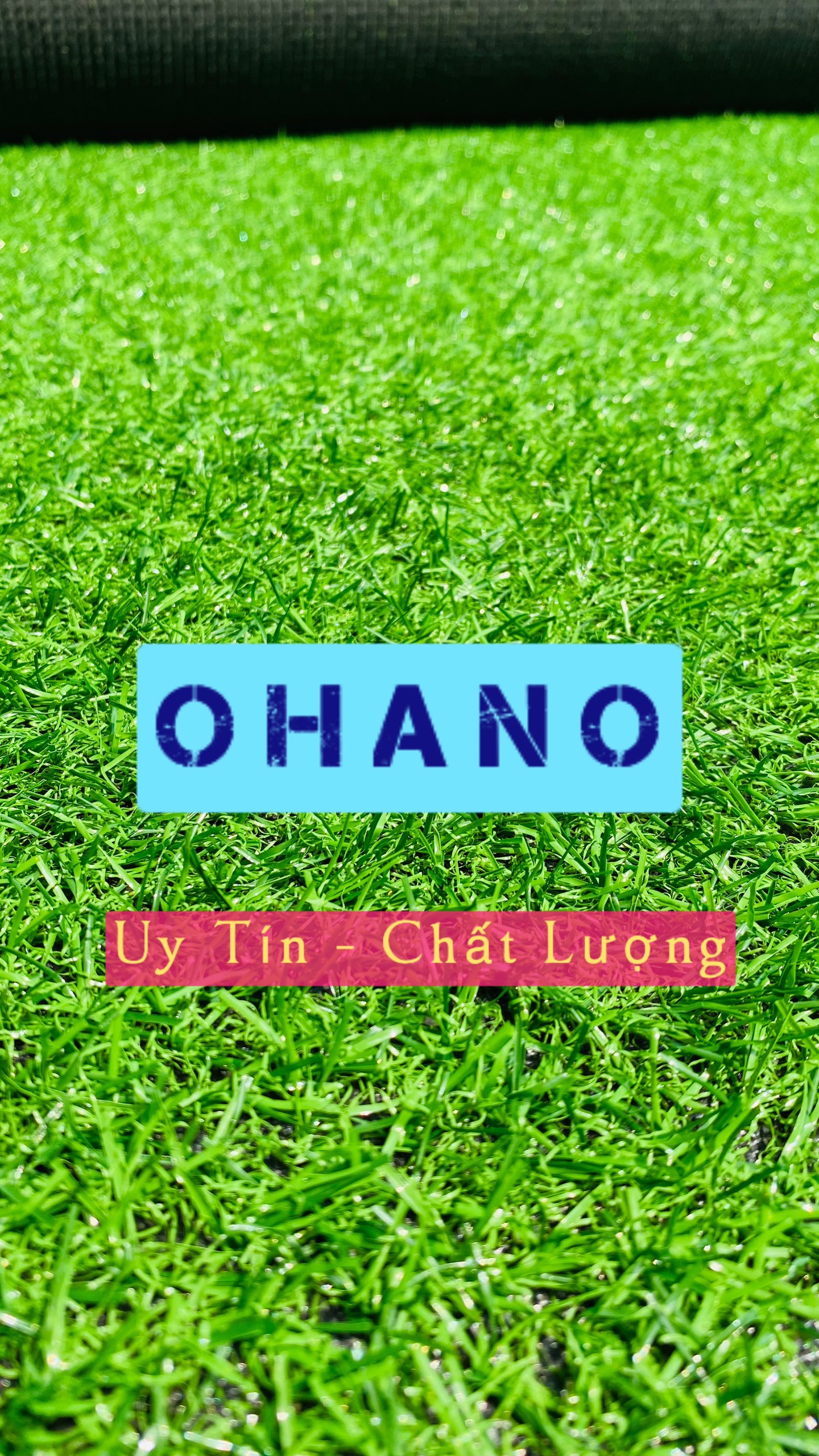 Thảm cỏ nhân tạo 2cm OHANO HN.1, Đế nỉ cứng, Mặt cỏ dày