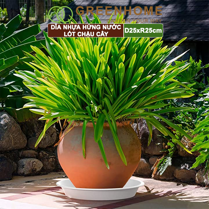 Dĩa nhựa lót chậu cây, nhựa nguyên sinh, bền, đẹp | Greenhome