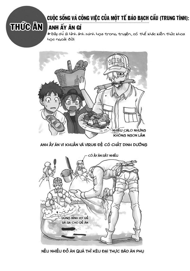hataraku saibou! chapter 21 29