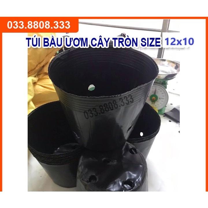BẦU TRÒN ƯƠM CÂY 12X10 - HÀNG LOẠI 1