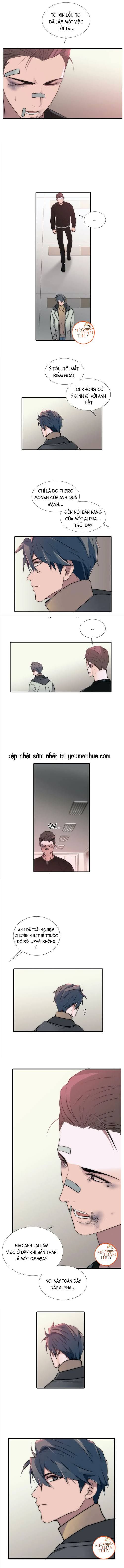 đưa đón người yêu chapter 59 4