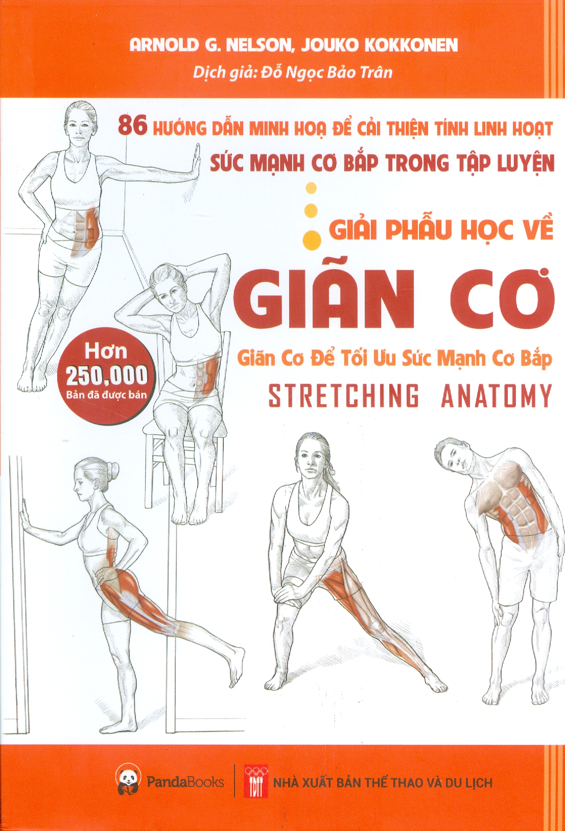 Giải Phẫu Học Về Giãn Cơ - Giãn Cơ Để Tối Ưu Sức Mạnh Cơ Bắp