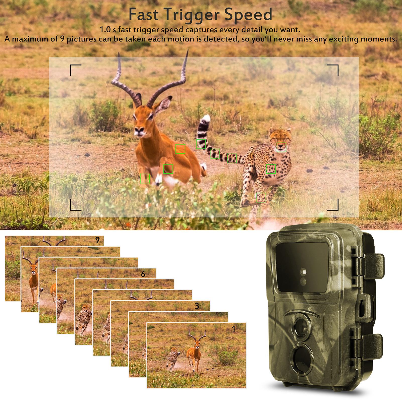 HX600 Trail Camera 16MP 1080P Motion Activated Hunting Camera with 65ft Night Vision Outdoor Wildlife Scouting Camera