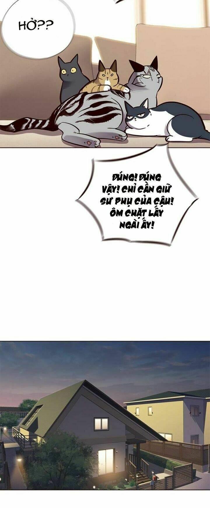 biến thân thành mèo chapter 123 44