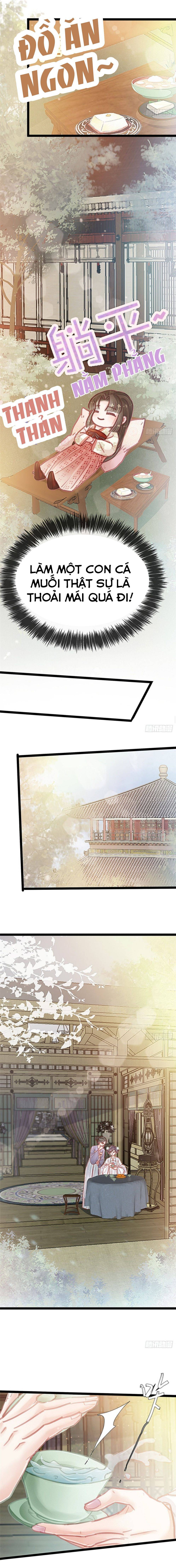 qúy phi muốn trở thành con cá mặn mòi chapter 27 11