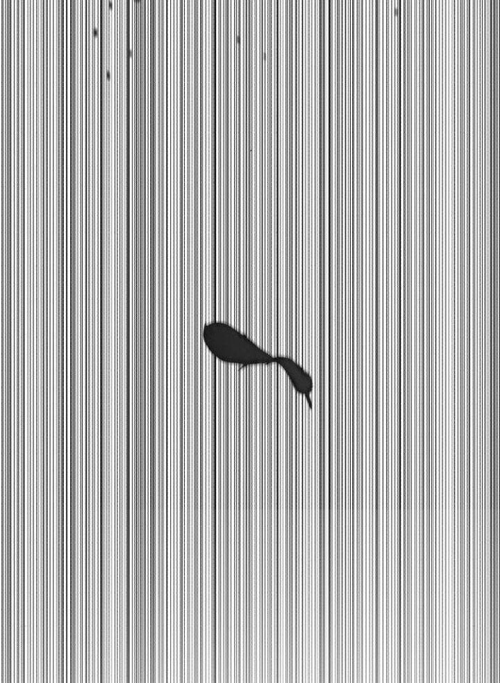 tầm quan trọng của vẻ bề ngoài chapter 1.2 146