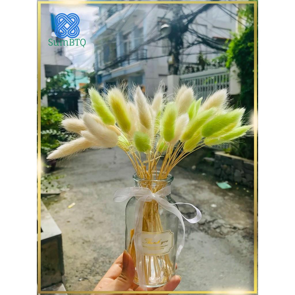 Chậu Hoa Đuôi Thỏ Xanh Lá Dùng Trang Trí Phòng