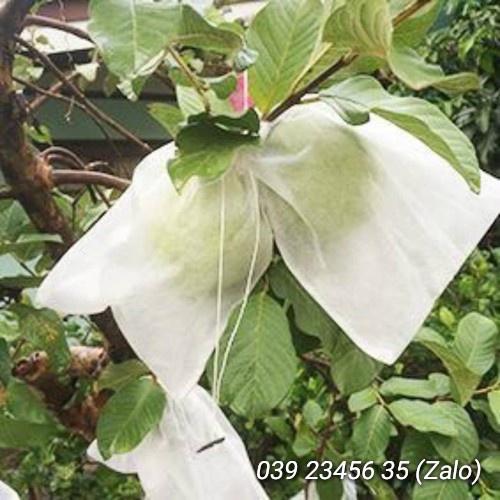 100 CÁI TÚI BAO BỌC ỔI, VÚ SỮA, HỒNG XIÊM, MẬN CHẤT LIỆU VẢI TỐT KÍCH THƯỚC 18*20