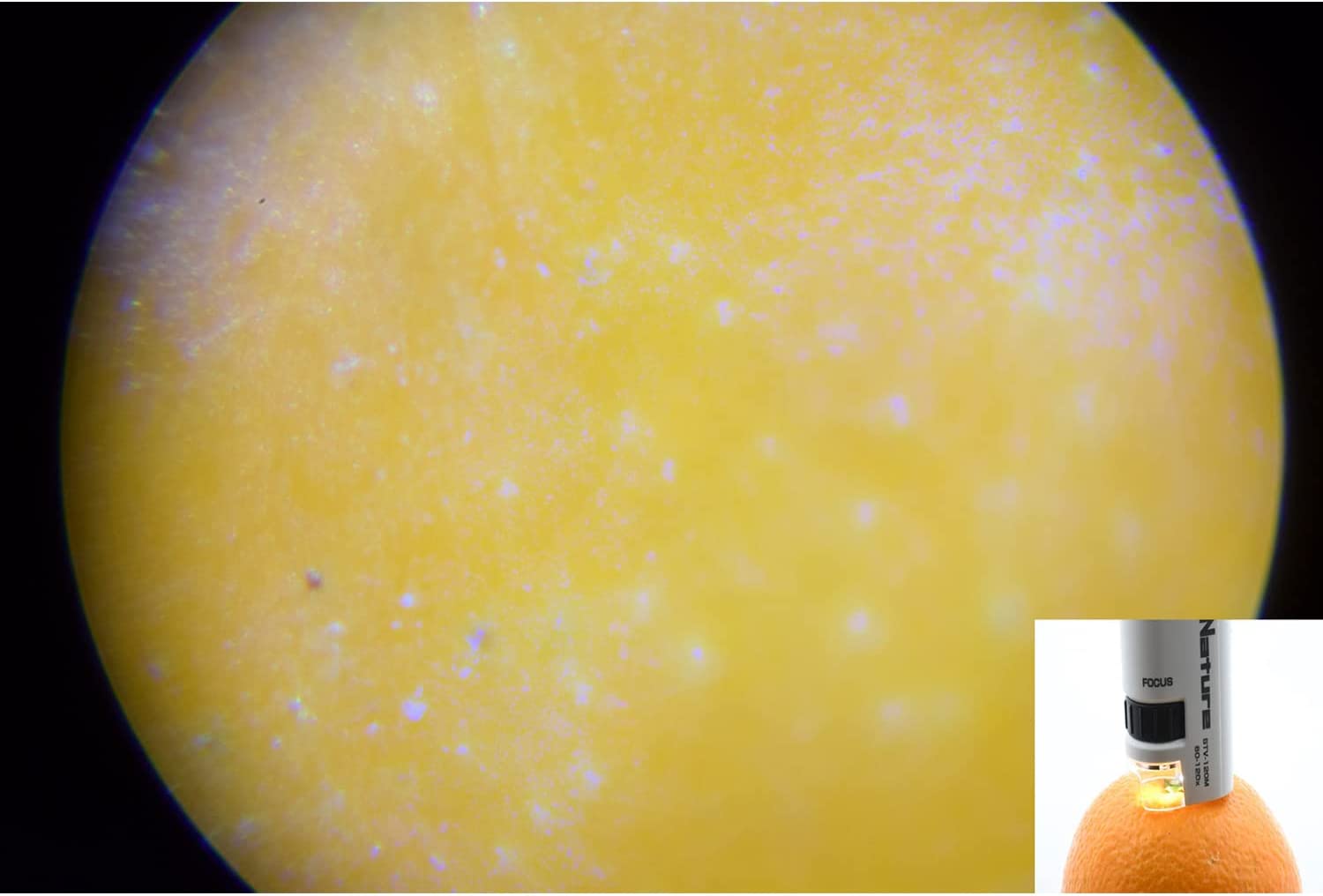 Quà Tặng Trị Giá 119K - Kính hiển vi mini cho trẻ em zoom 120x Do Nature Carson STV - 120M - Microscope Do.Nature STV-120M 60x-120x Zoom, Equipped with LED Light, Handheld and Small Design - Hàng Chính Hãng
