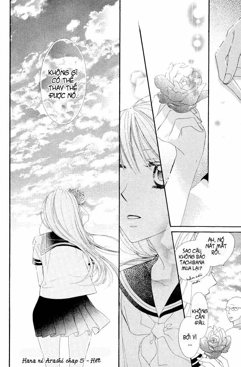 hoa trong bão chapter 5 32