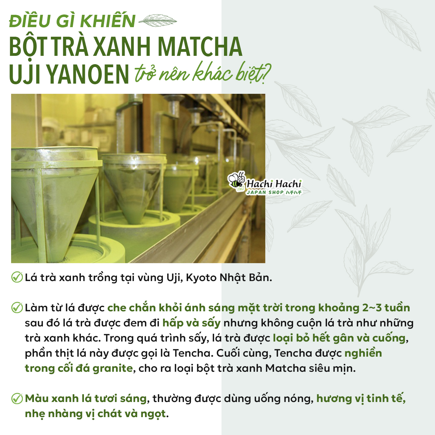 Bột Trà Xanh Yanoen Matcha Uji 30g