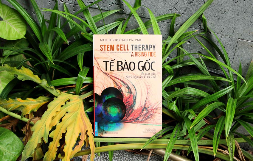 Tế Bào Gốc - Bí mật của suối nguồn tươi trẻ