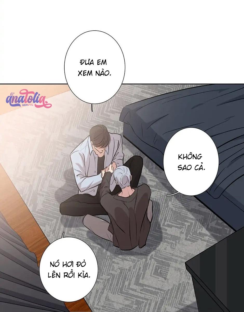 Đừng Chạm Vào Tim Tôi chapter 78