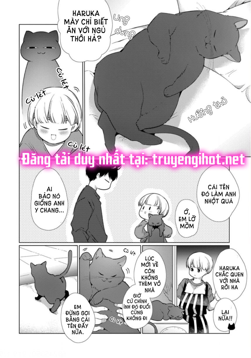 thanh mai trúc mã cứ bám lấy tôi không rời chapter 10 15