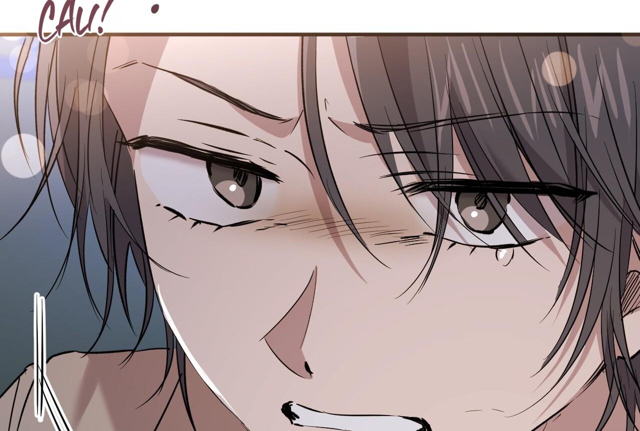 những chú thỏ của hapypy chapter 58 115