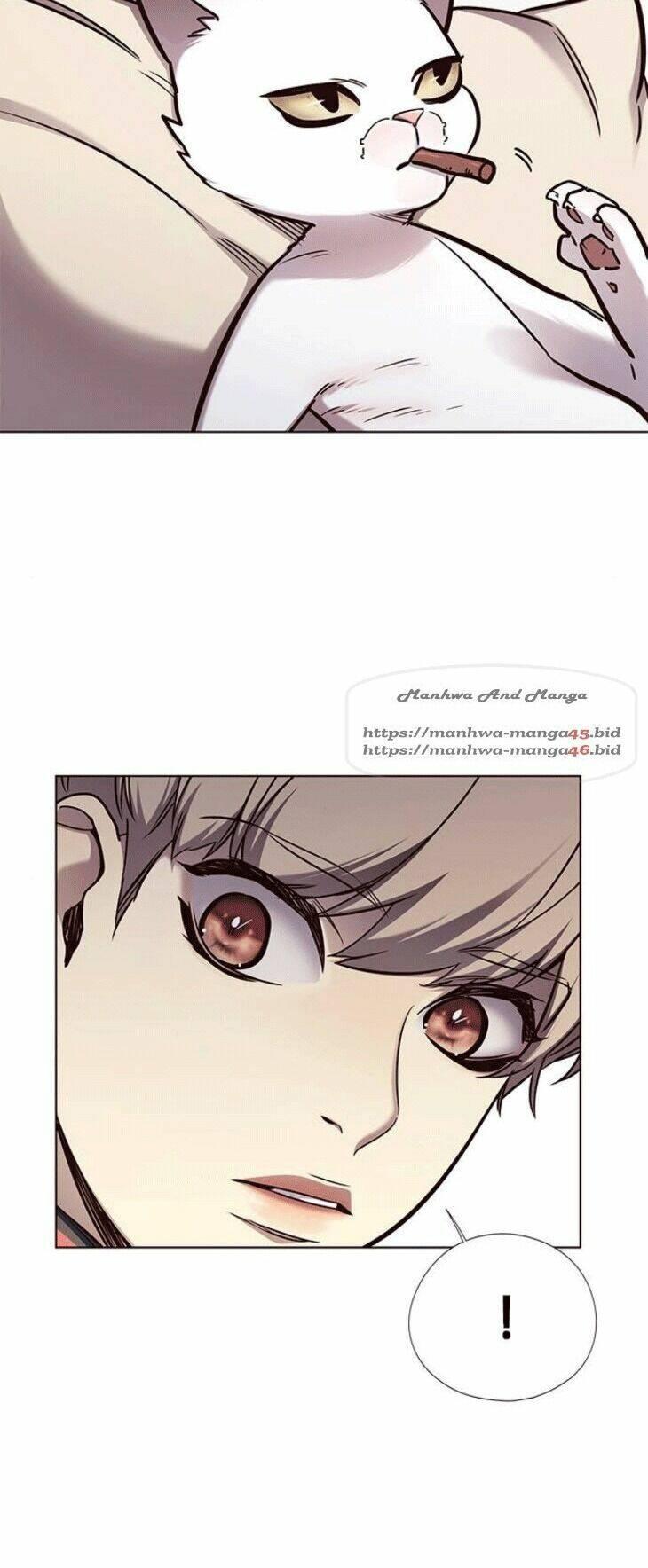 biến thân thành mèo chapter 148 10