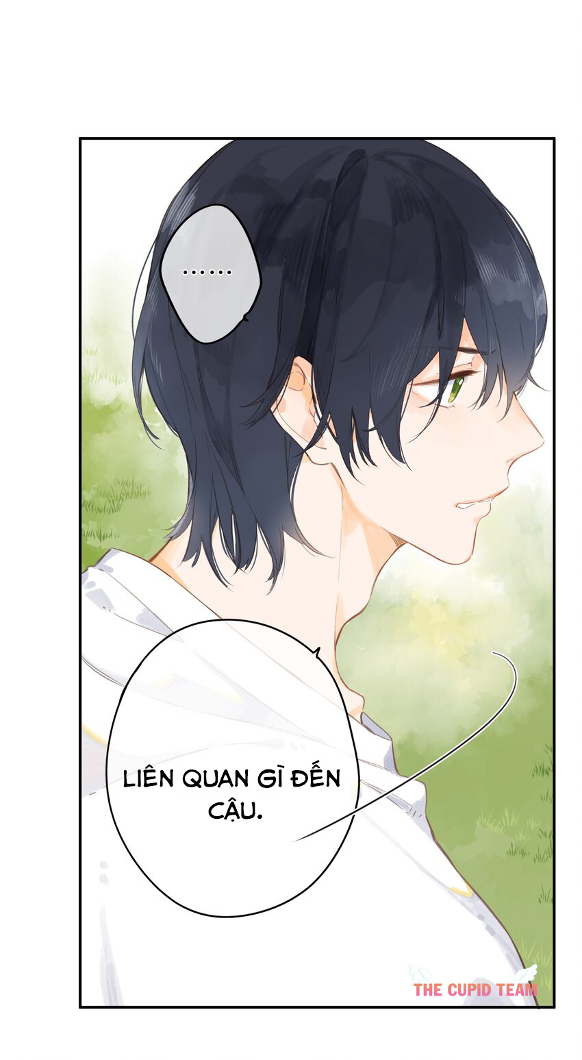 tiệm hoa hướng dương ở góc phố chapter 5 11