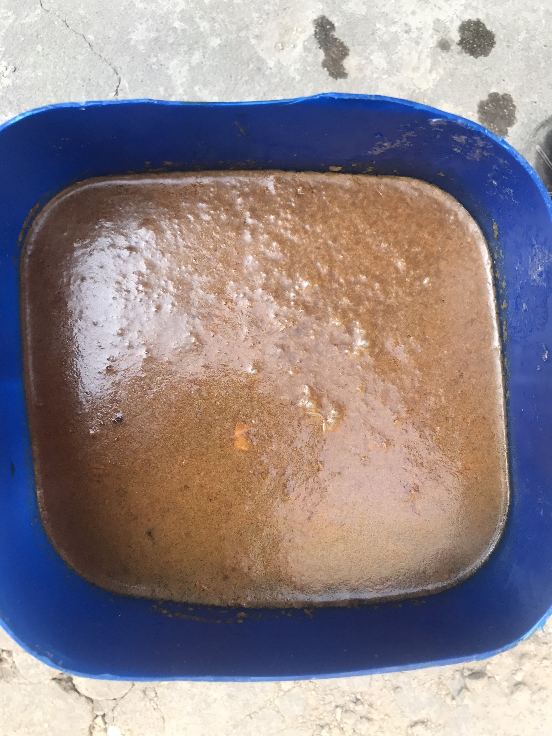 Đạm Cá Dùng Trong Nông Nghiệp Can 5 Lít