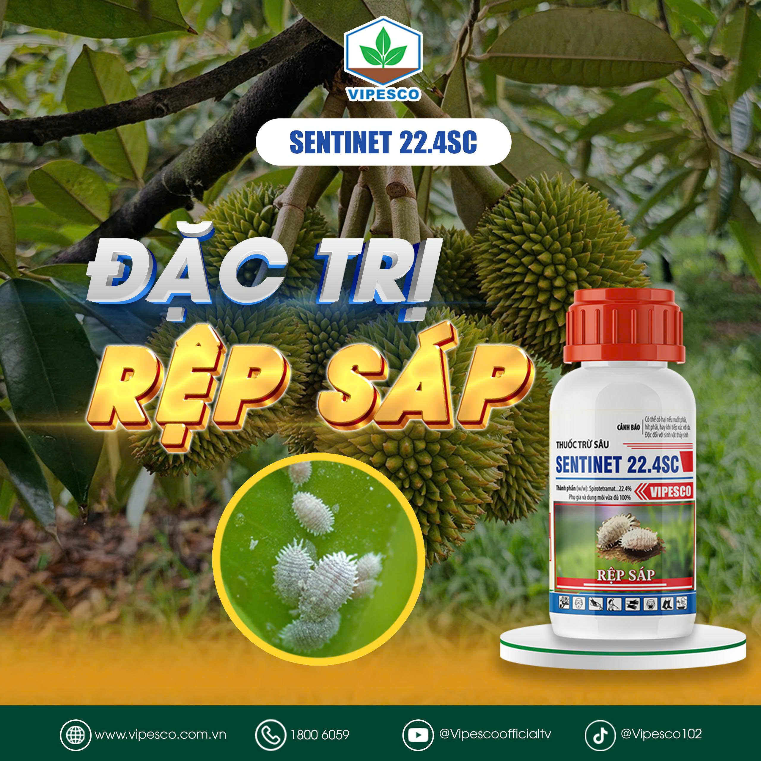 SENTINET 22.4SC-100CC PET - ĐẶC TRỊ RỆP SÁP