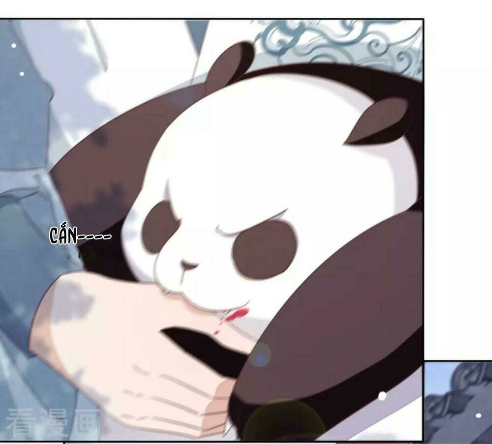 xuyên về cổ đại làm quốc bảo chapter 8 22