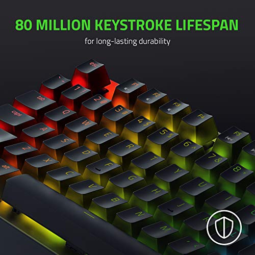 Bàn phím Razer Blackwidow V3 Tenkeyless-Mechanical-US Layout-Yellow Switch_Hàng chính hãng