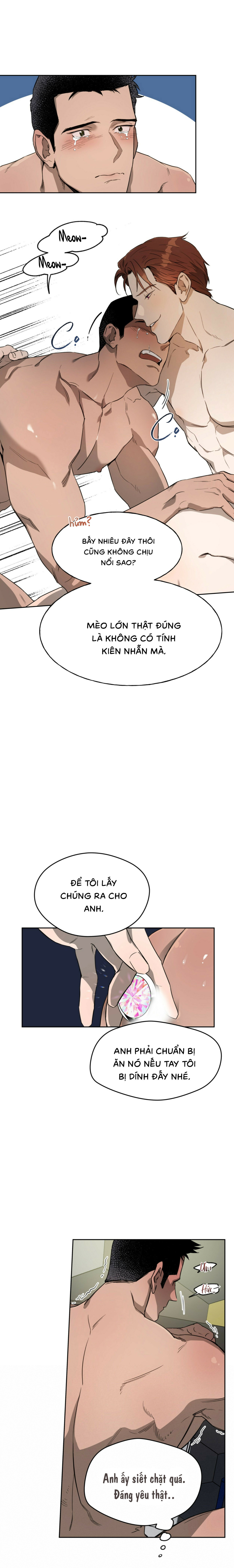 ang ang chapter 12 11