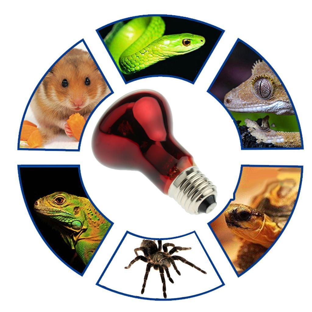 Heating Infrared Lamp Emitter Lamp Bulb E27 Red 25W