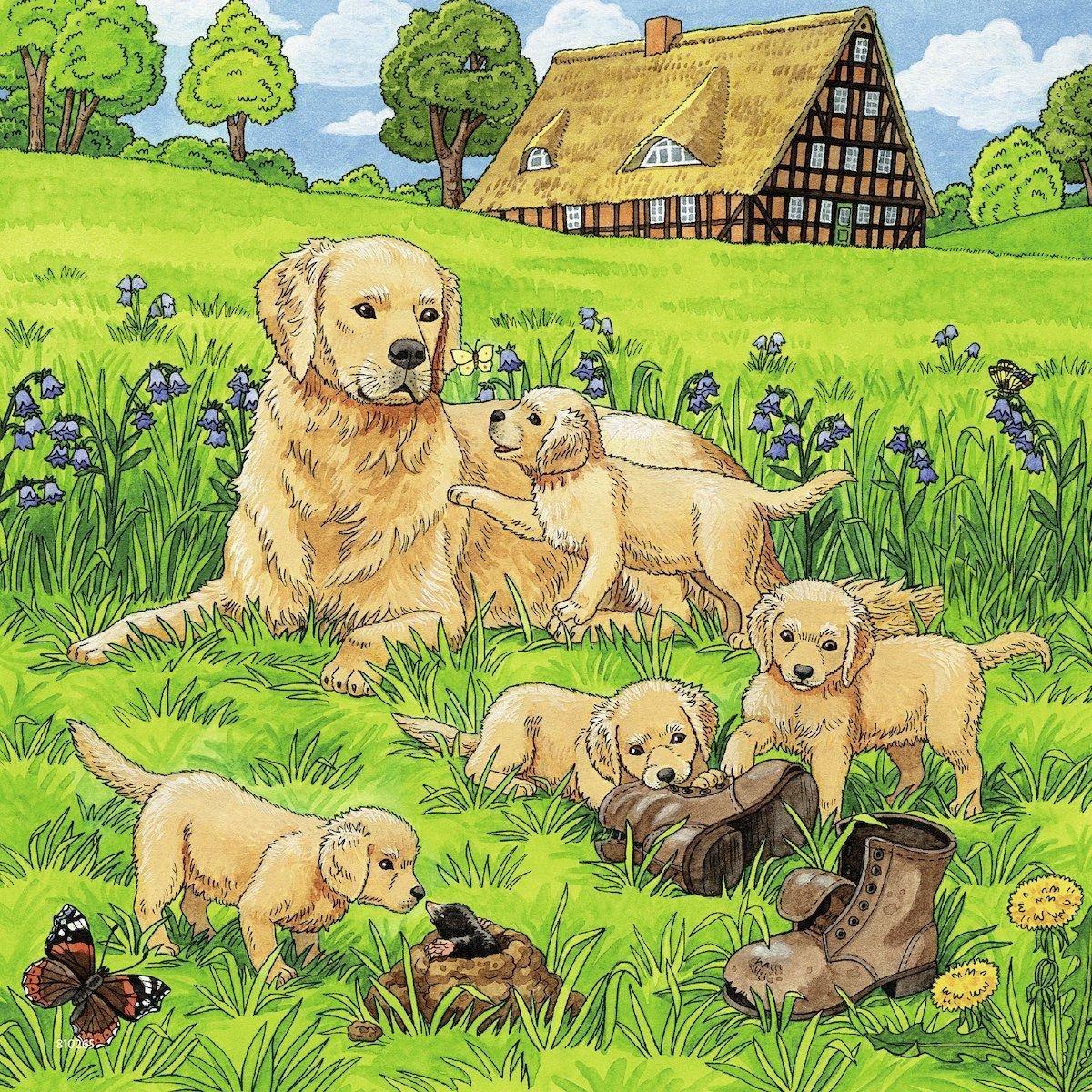 Xếp hình puzzle Cats &amp;amp; Dogs 3 bộ 49 mảnh RAVENSBURGER 080021