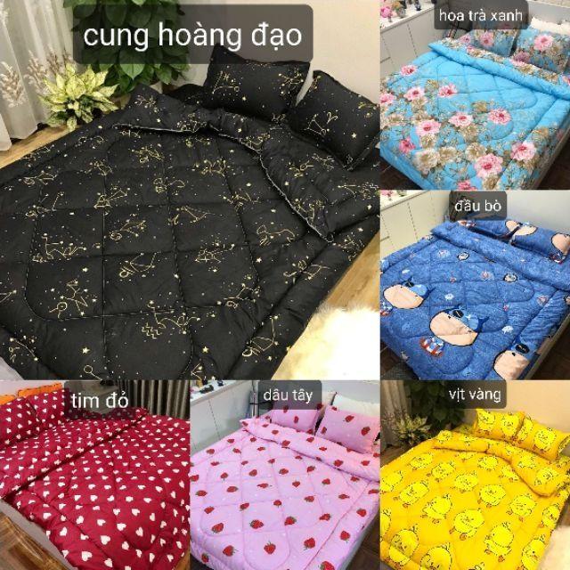 Trọn bộ 5 món chăn phao ga gối poly cotton 2m2