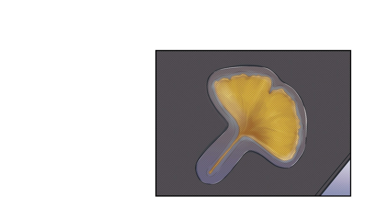 dải hợp âm trên đại dương xanh chapter 6 158