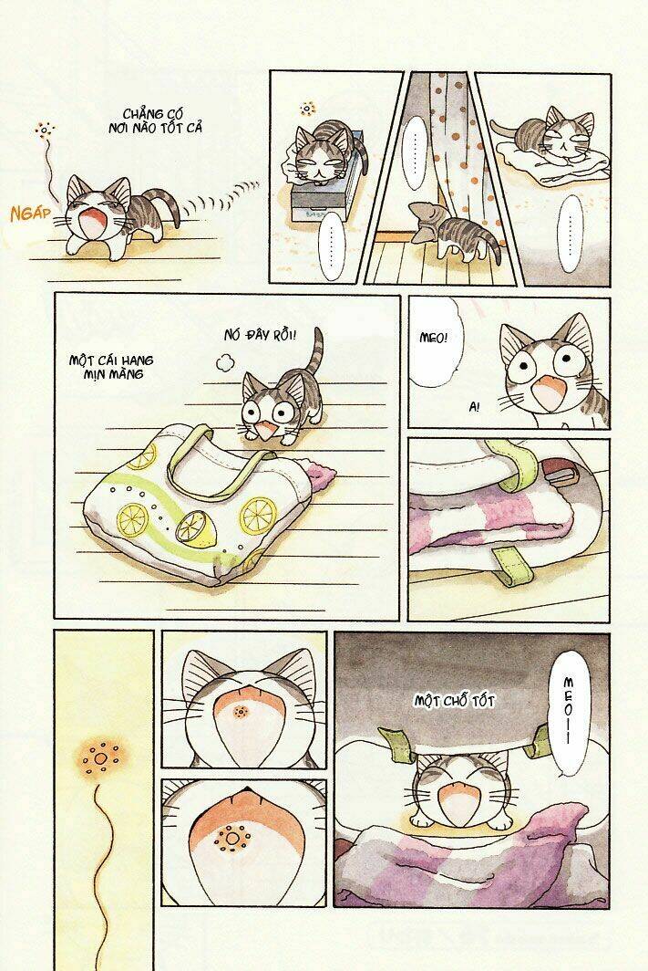 chi's sweet home chapter 76 8