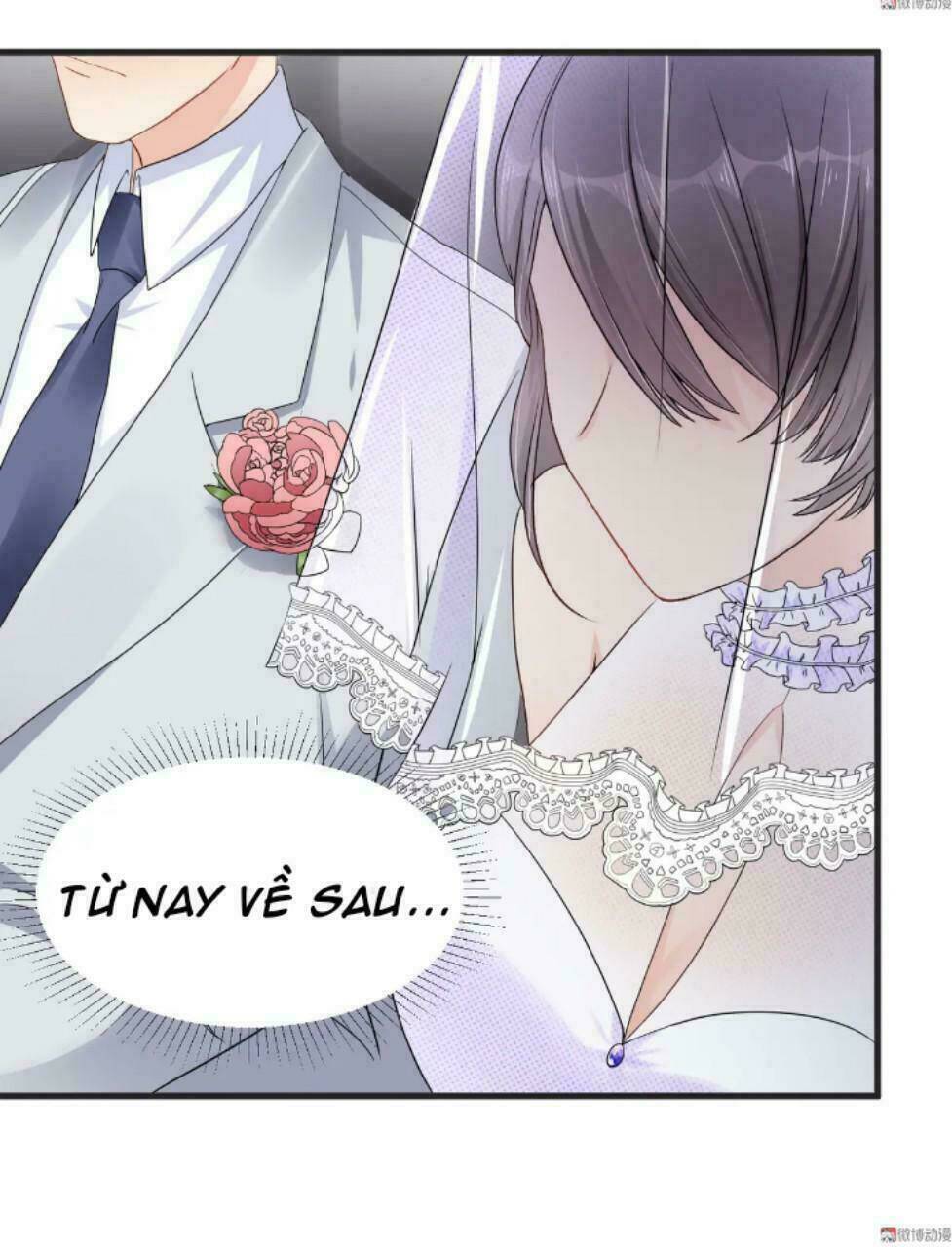 tổng tài truy thê: phu nhân đừng hòng trốn chapter 5 10