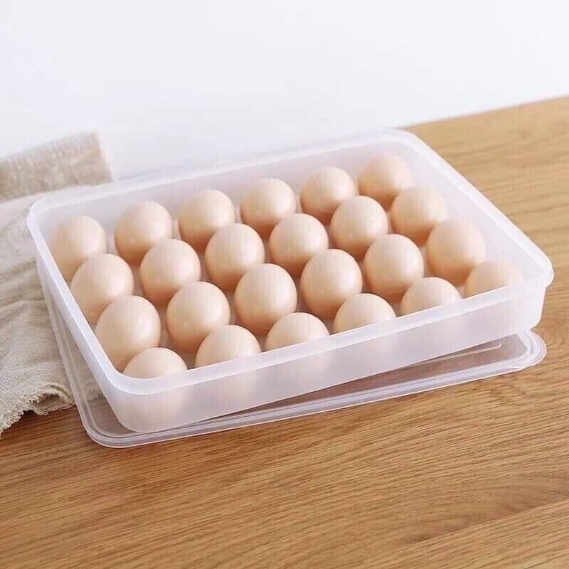 Hộp đựng trứng 24 quả có nắp đậy Hộp 24 ngăn bảo quản trứng không bị vỡ