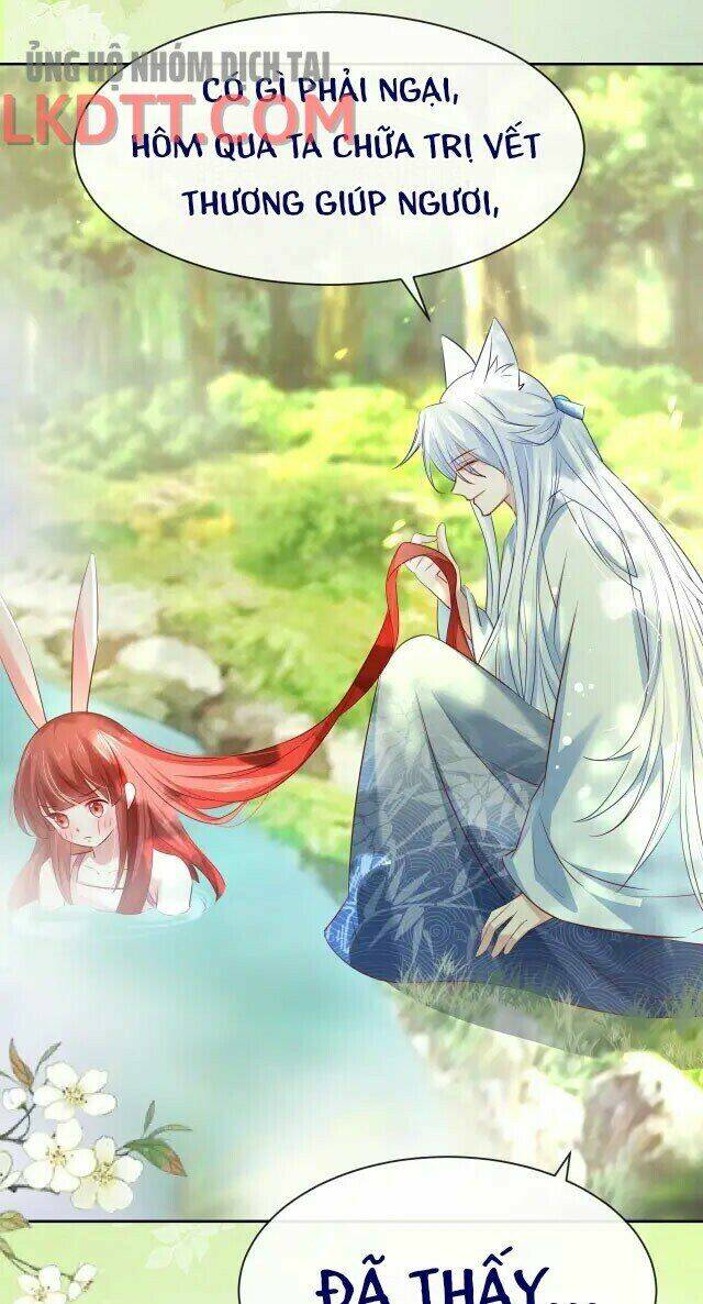 hắc hóa nam chính trực tuyến nuôi thỏ chapter 25 21