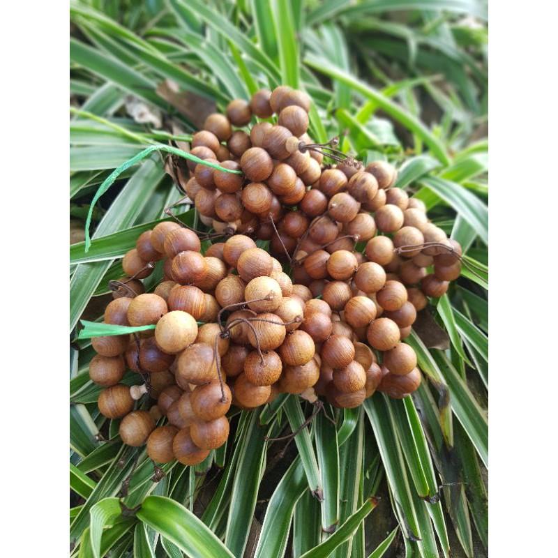 Vòng tay nam hạt tròn 20 ly GỖ Ngọc Am