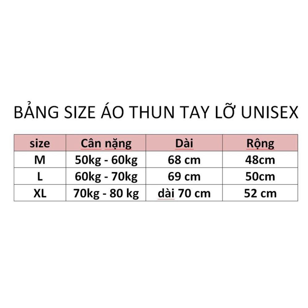 ÁO THUN, ÁO PHÔNG TAY LỠ UNISEX CÁ CHÉP M18 KIWI SHOP chip SHOP