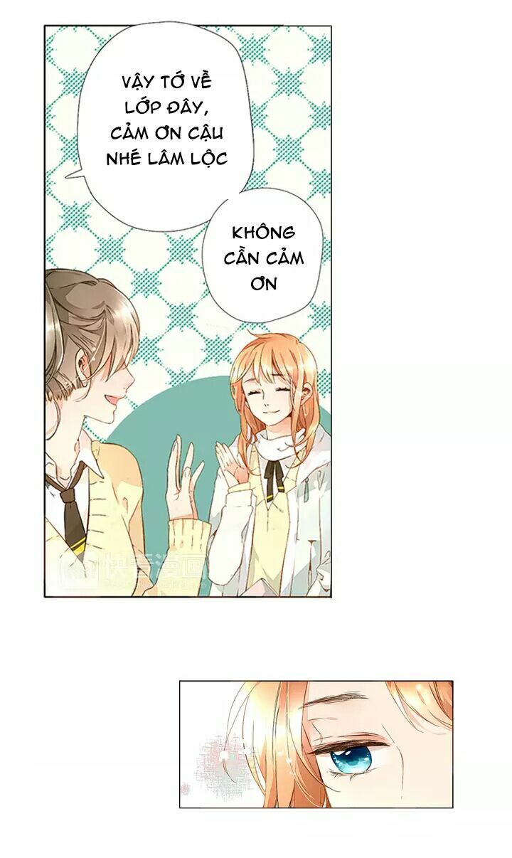 Tình yêu là màu hoa anh thảo chapter 16.2 2