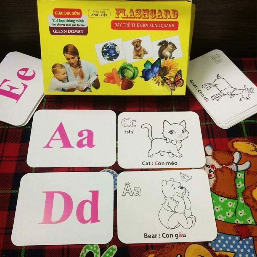 Bộ Thẻ Học Thông Minh 15 Chủ Đề loại to song ngữ tiếng Anh loại chuẩn Glenn Doman Flashcard cho bé từ 0-6 tuổi