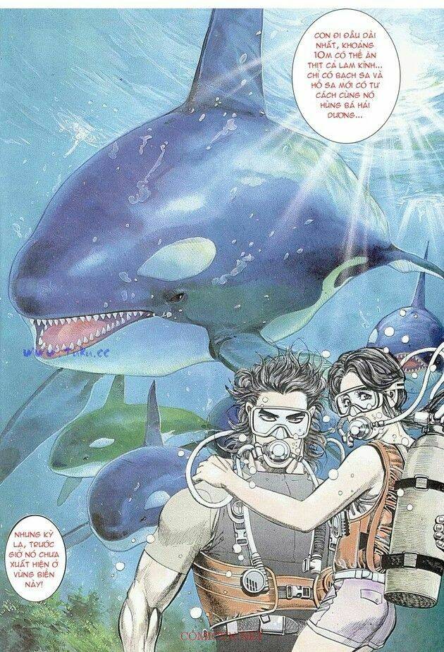 hải hổ 1 chapter 4 7